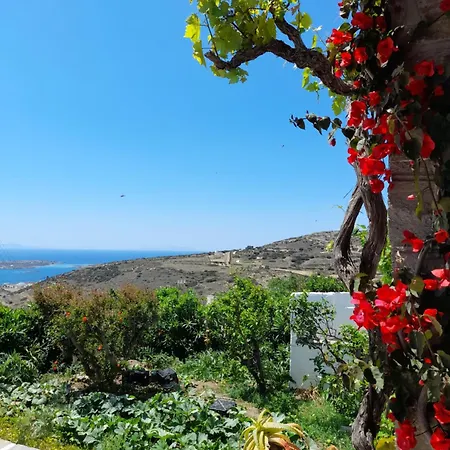 Hébergement de vacances Paros Traditional House